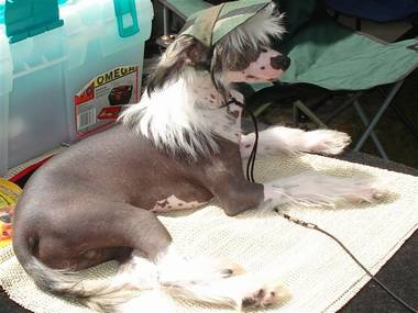 A Sun Hat is a 'must' ringside