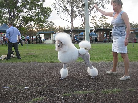 Leia at twenty  months. Maryborough, Oct 29, 2011