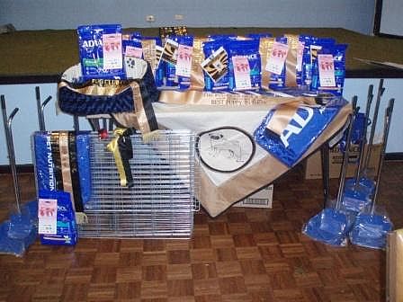 Prizes and Awards