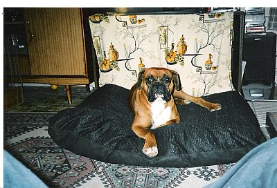 Tyson