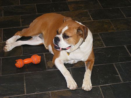 Jemma
