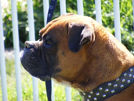 Tyson