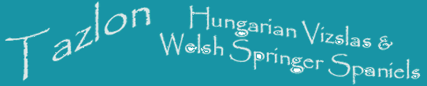 Tazlon Hungarian Vizslas & Welsh Springer Spaniels