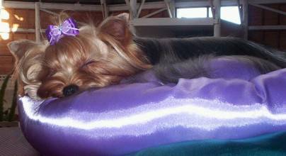 Becky, wearing one of Molly Marie's pretty bows