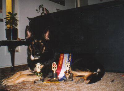 Prince with his CD Trophies (1994)